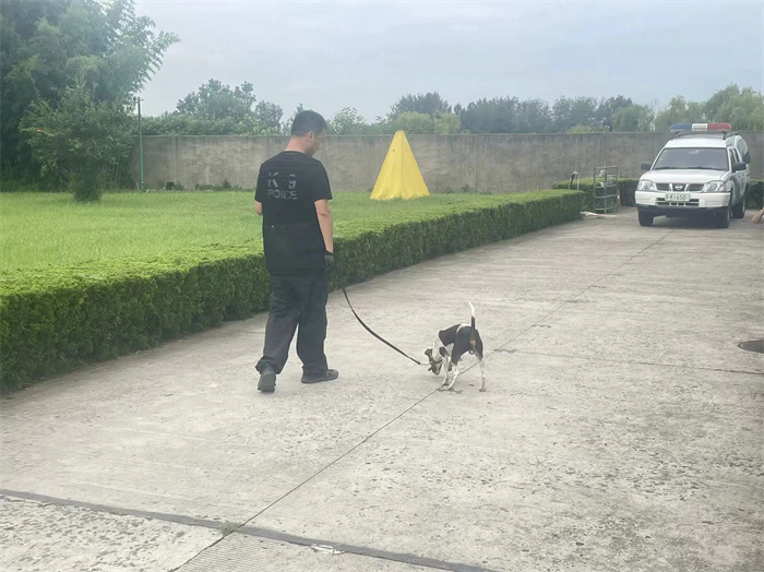 警犬血跡搜索.jpg