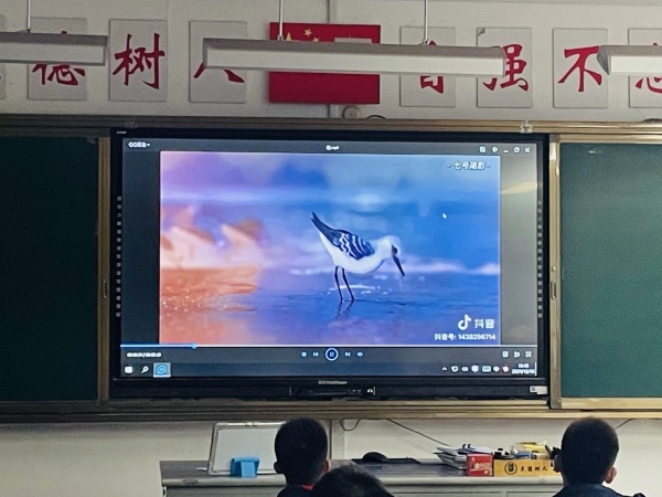 視頻學(xué)習(xí)相關(guān)班會(huì)知識(shí).jpeg