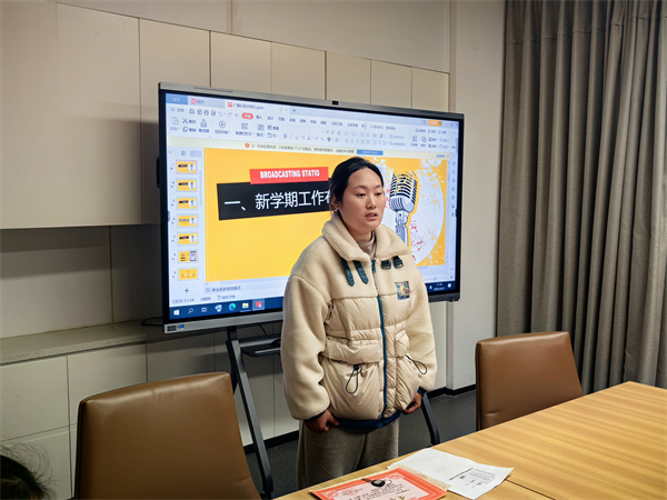王菁書記布置工作.jpg