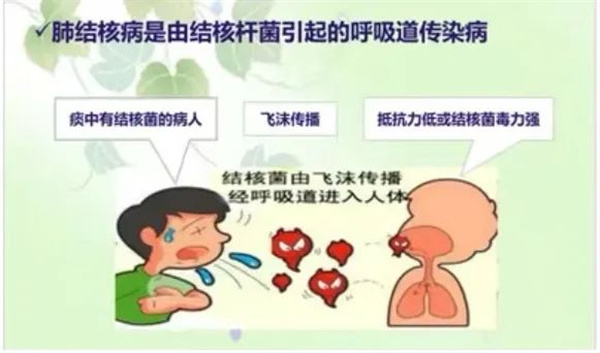 微信圖片_20250325193219.jpg