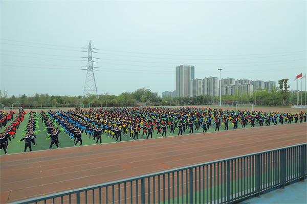 集體展示.jpg